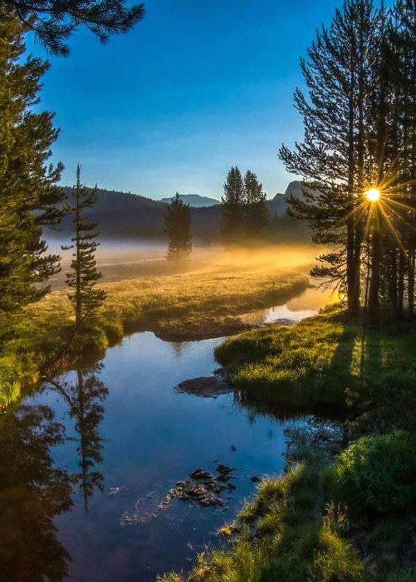 красивая природа пейзажи