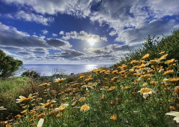 красивые летние пейзажи