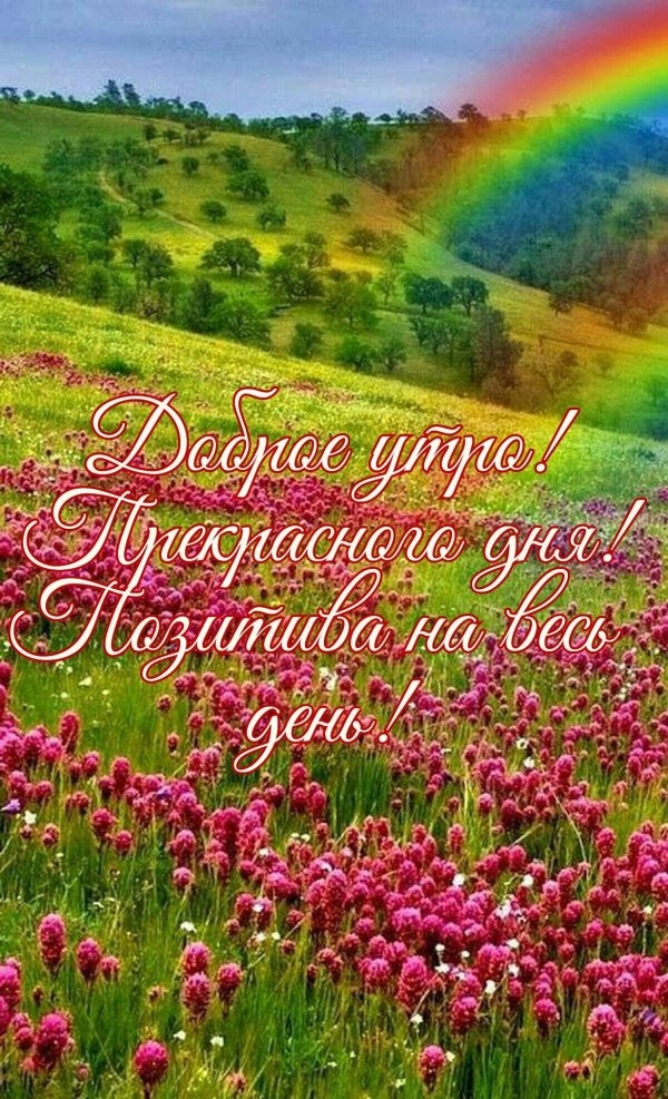 цветущее поле