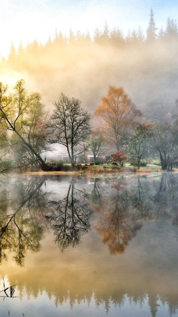 туман осень