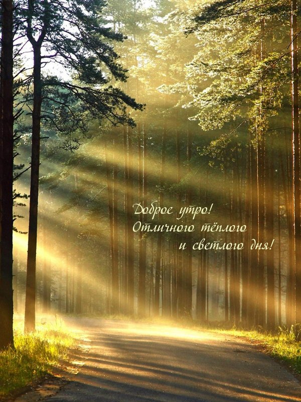 лучами солнца