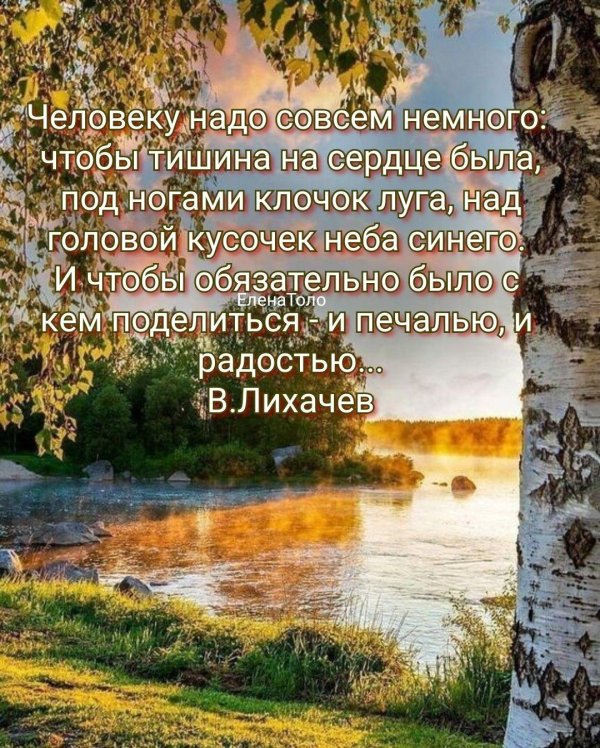 тишина природы