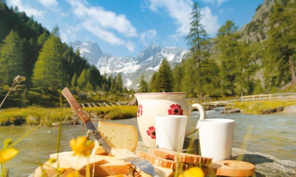 чай на природе