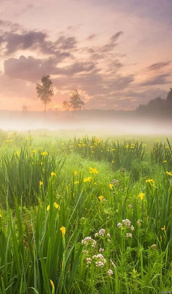 рассвет летом