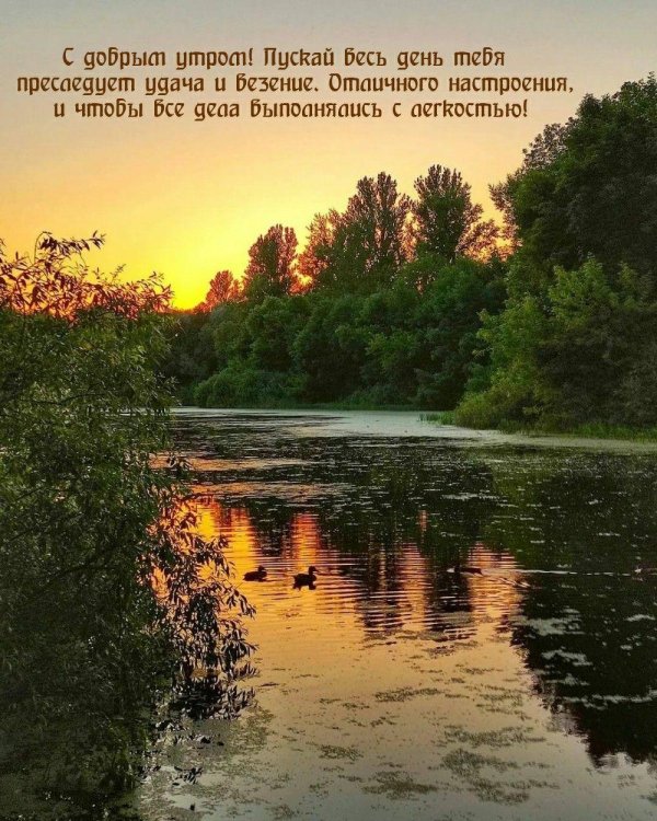 с добрым утром с природой
