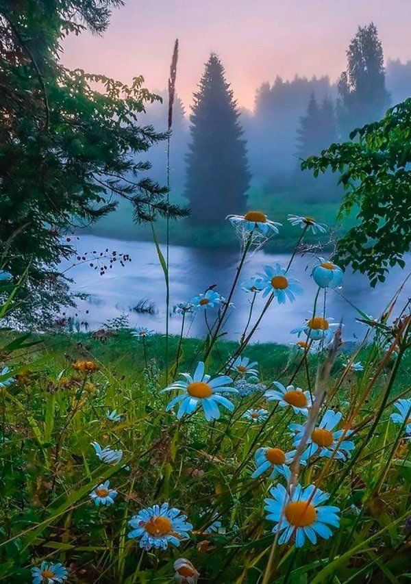 доброго утра природа