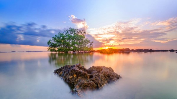 красивые водные пейзажи