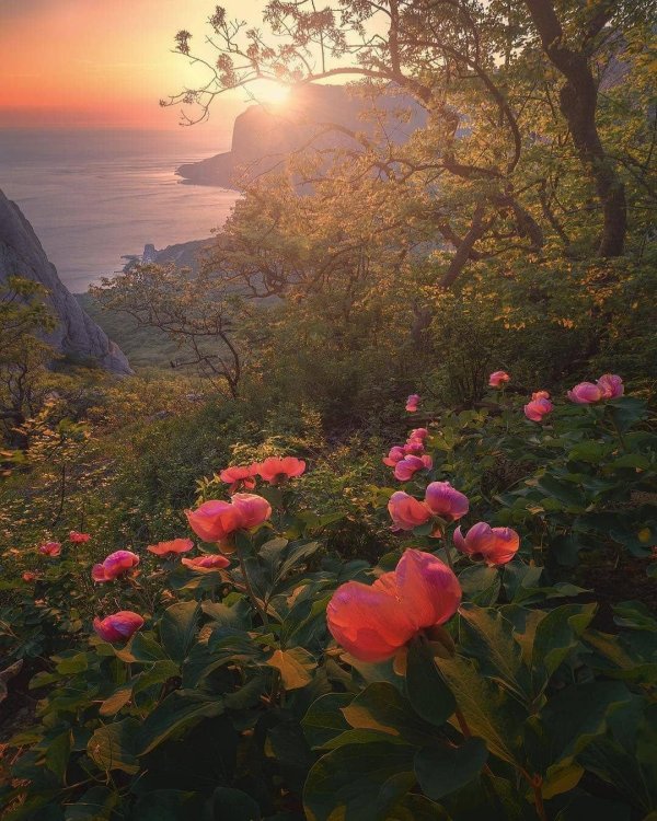 байдарская долина крым