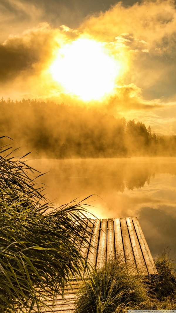 с добрым утром природа