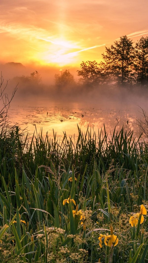 раннее утро