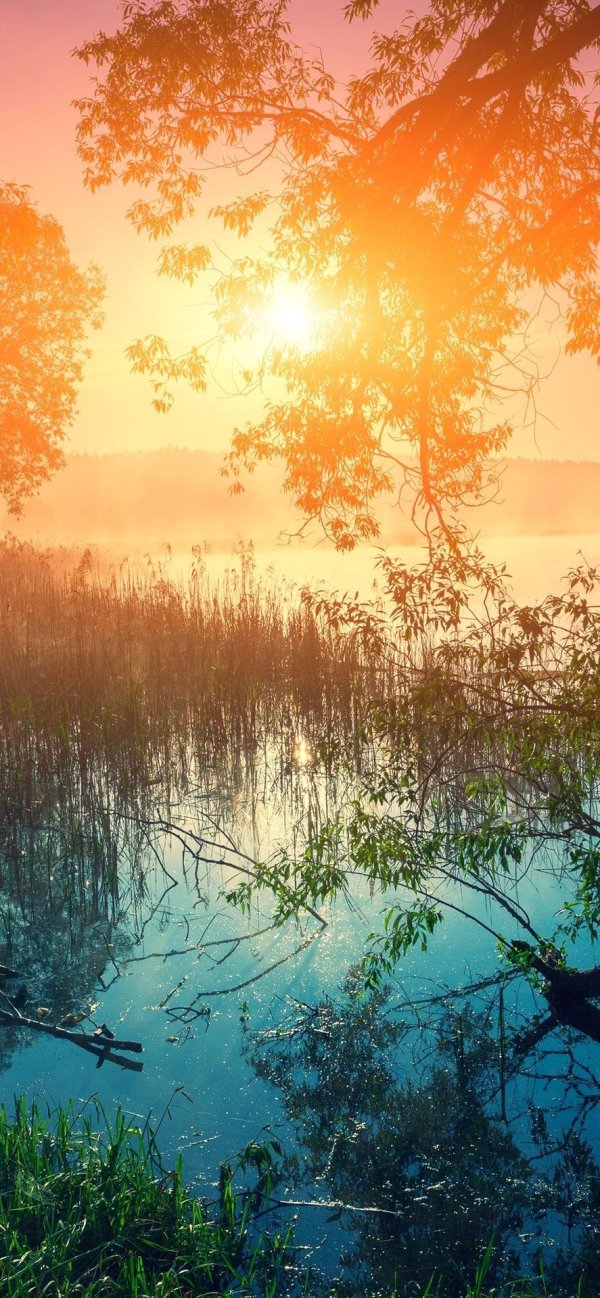 заря зорька зоренька