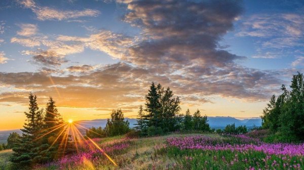 пейзажи летние