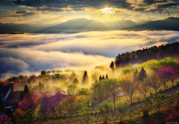 красивые рассветы