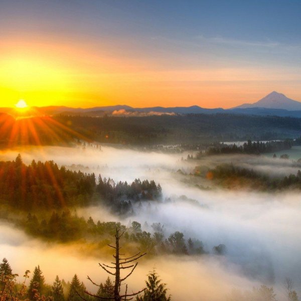 красивые рассветы