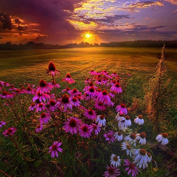 летний закат