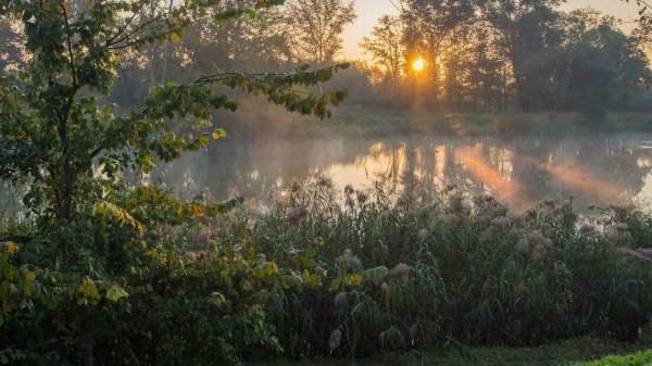 раннее утро