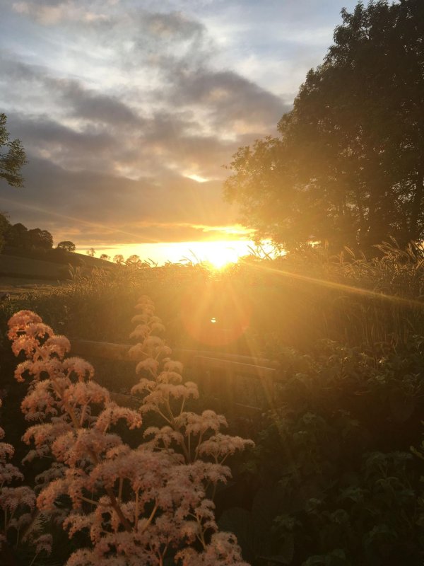 эстетика закат