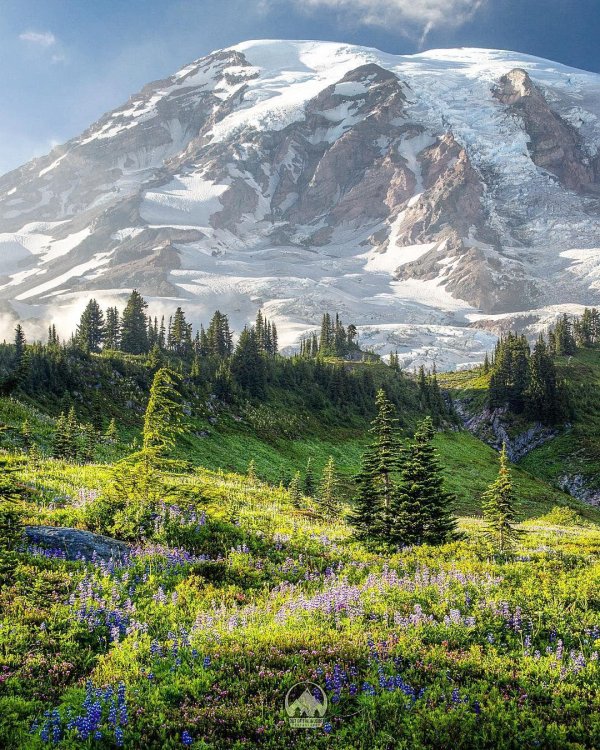 mt rainier national park