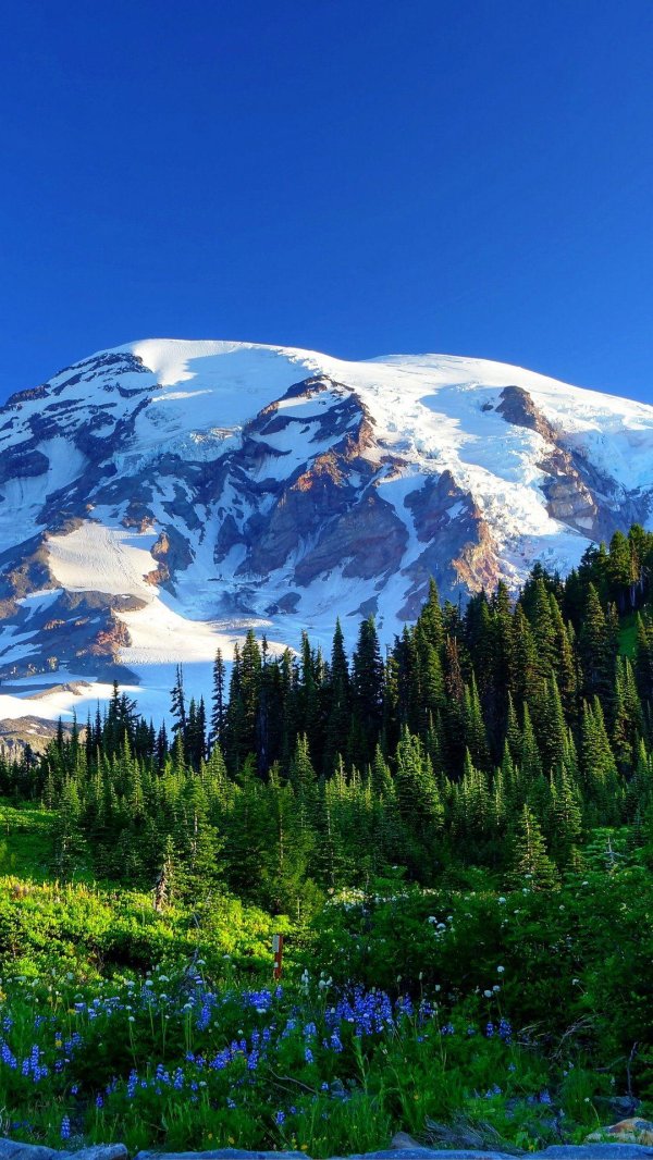 маунт рейнир