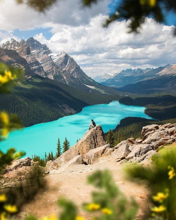 озеро пейто канада