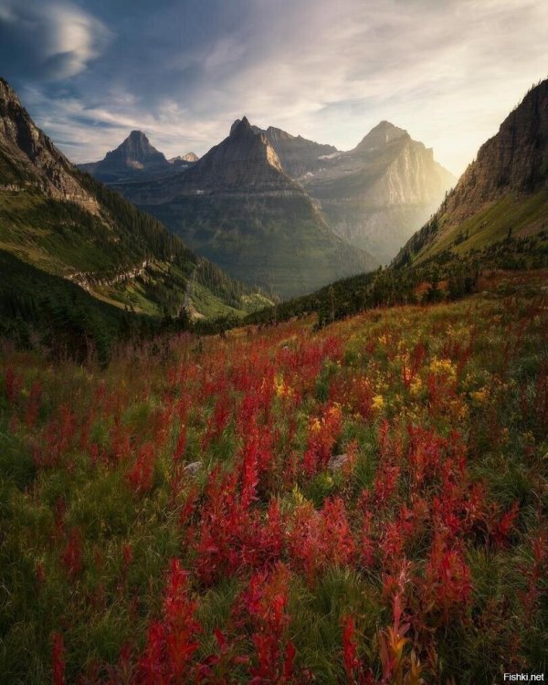 glacier national park