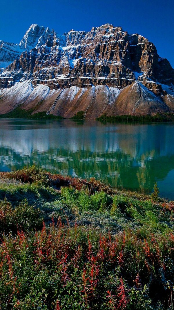 красота природа