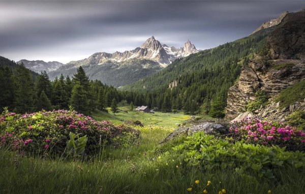альпийские луга испании