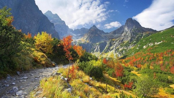 красная поляна сочи осень