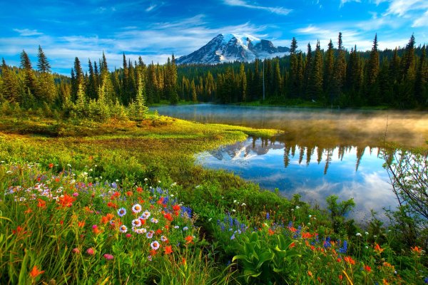 горы озеро цветы