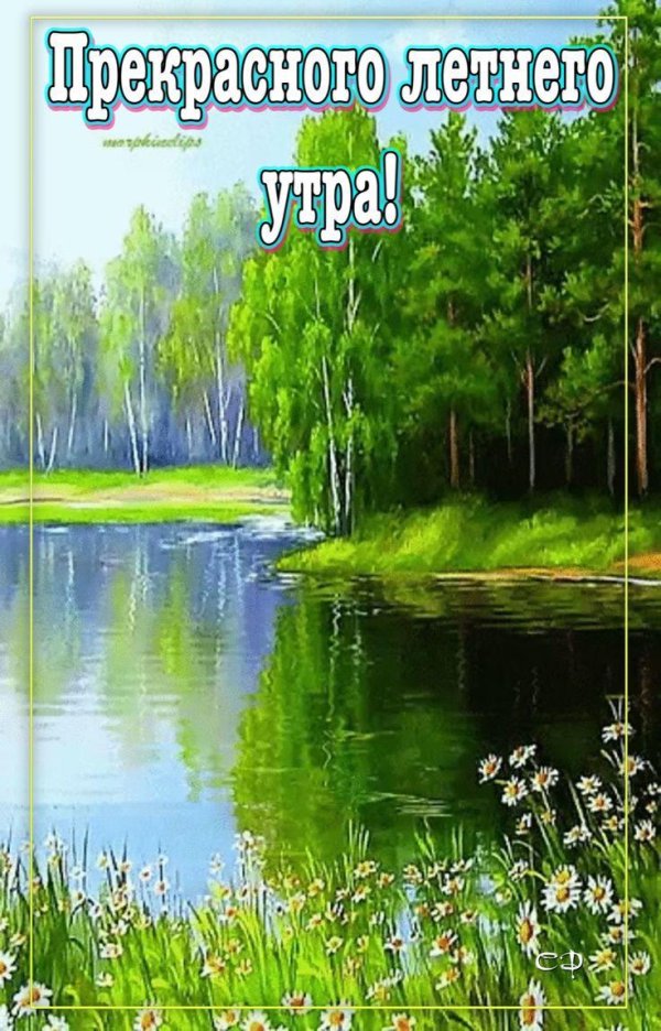 пейзажи летние