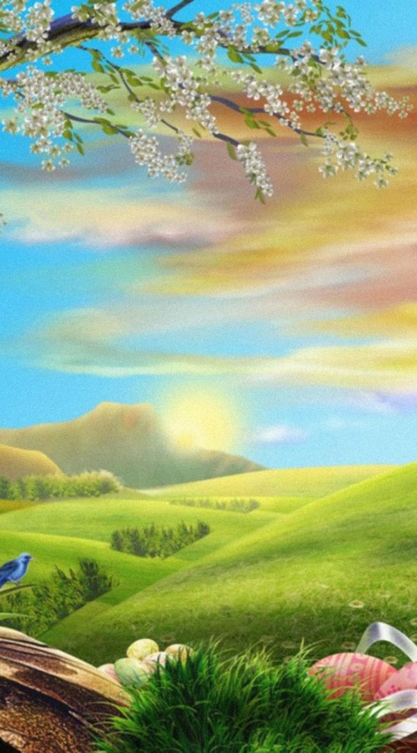 сказочная полянка