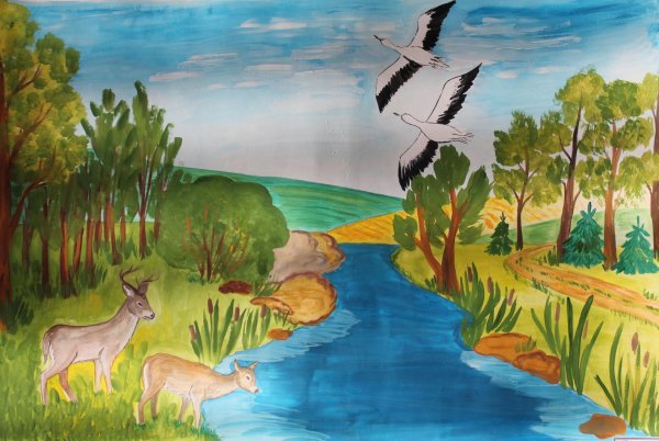 мир заповедной природы конкурс