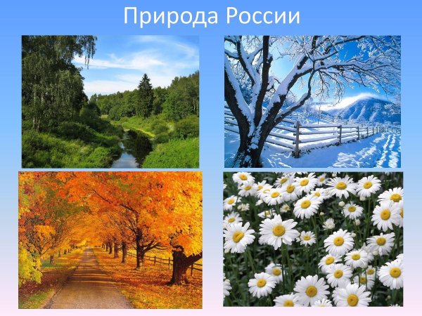 разнообразие природы россии