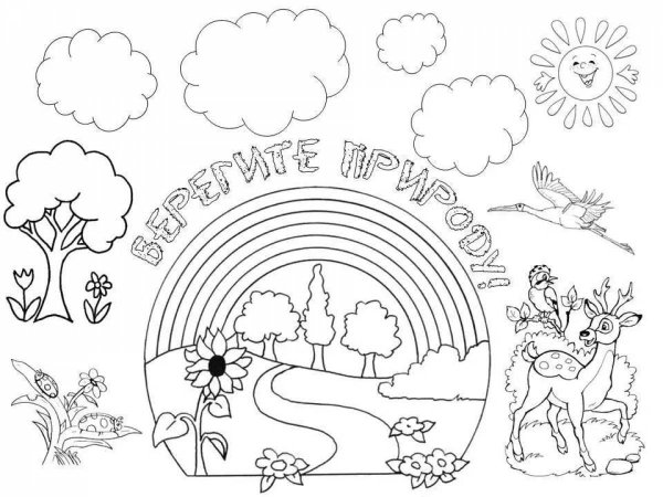 раскраска экология