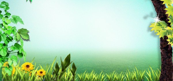 летние фоны для презентаций