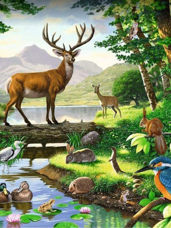 картины животные