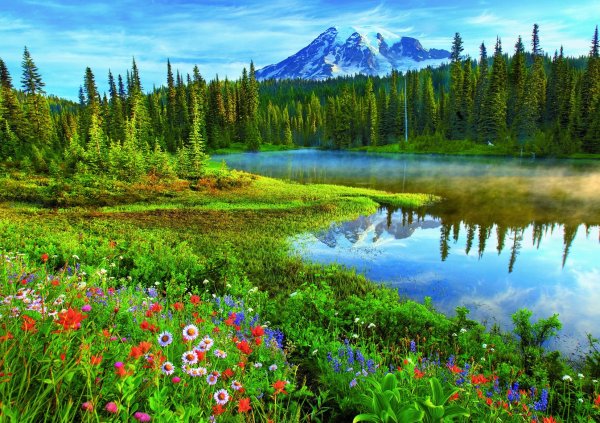 пейзажи летние