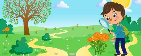 маленькие исследователи