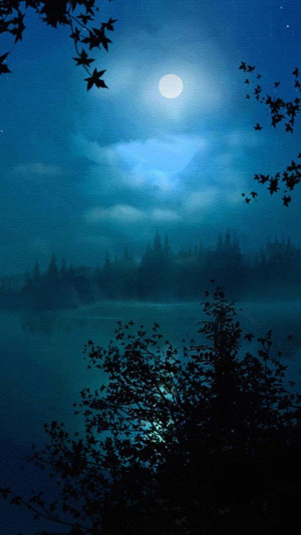 ночной лес с луной