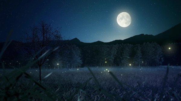 ночное поле с луной
