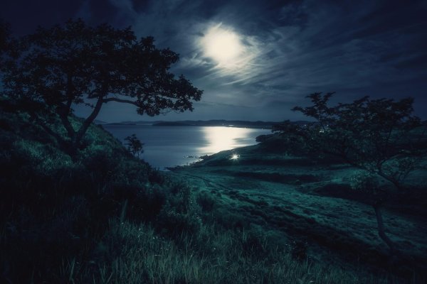 лунная ночь