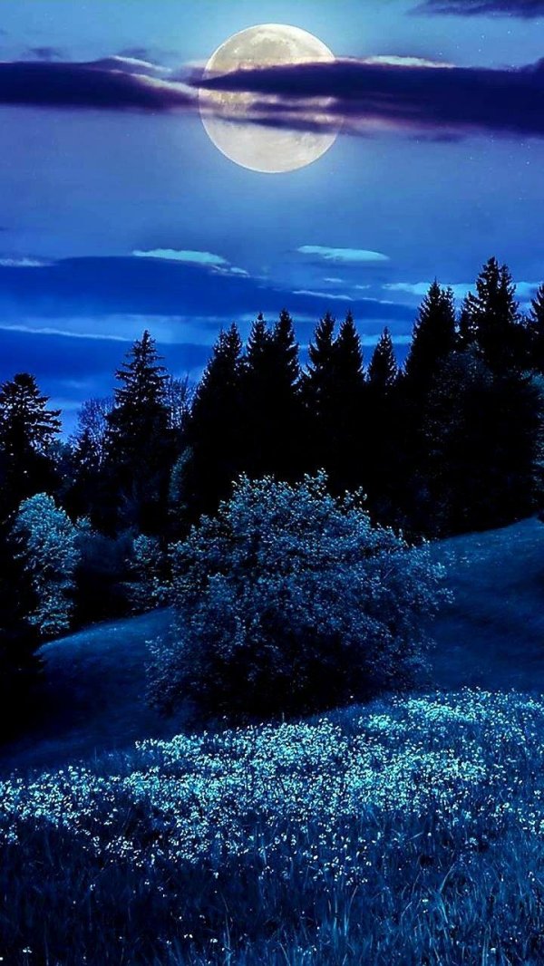 природа луны