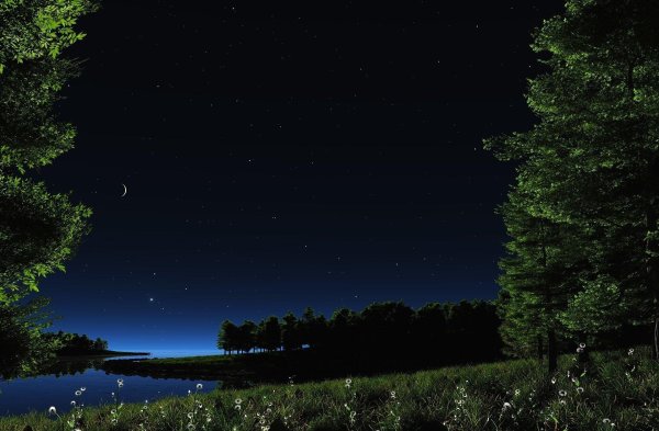 ночное небо