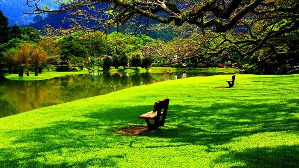 taiping lake garden