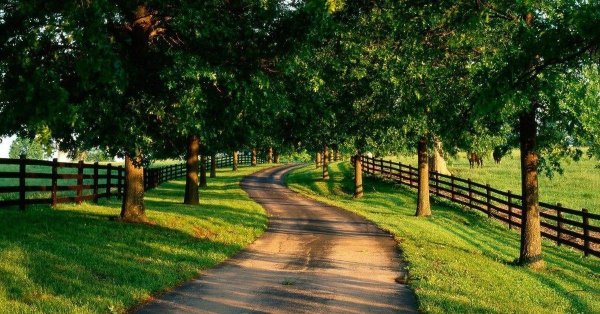 country road