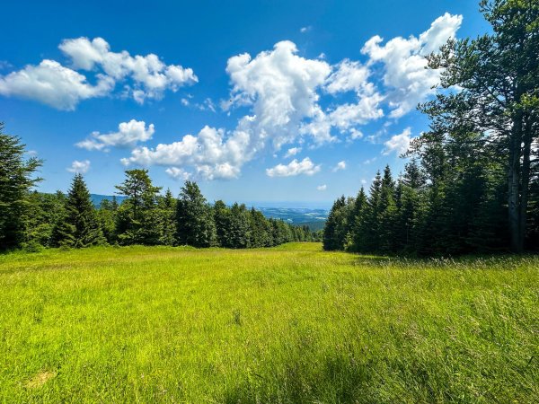 альпийские луга германии