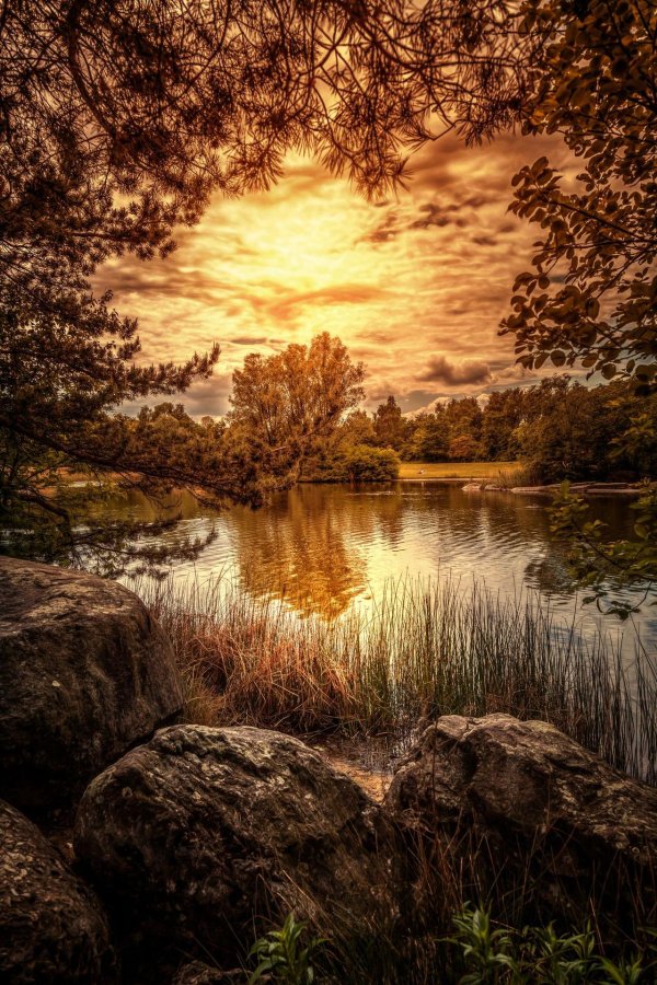 живописные пейзажи