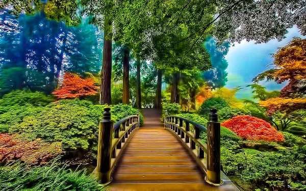 фотообои мост в лесу