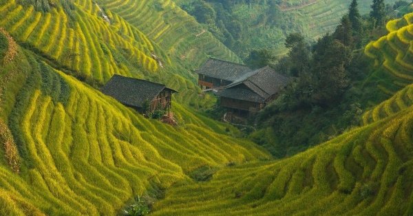 террасы лонгджи деревня пиньян