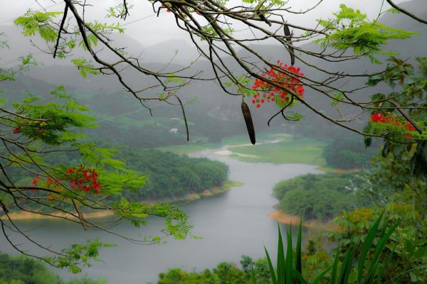 пуэрто рико природа